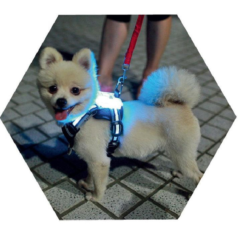 Usb Rechargeable Led Pet Collar - Illuminate Your Dog'S Style!